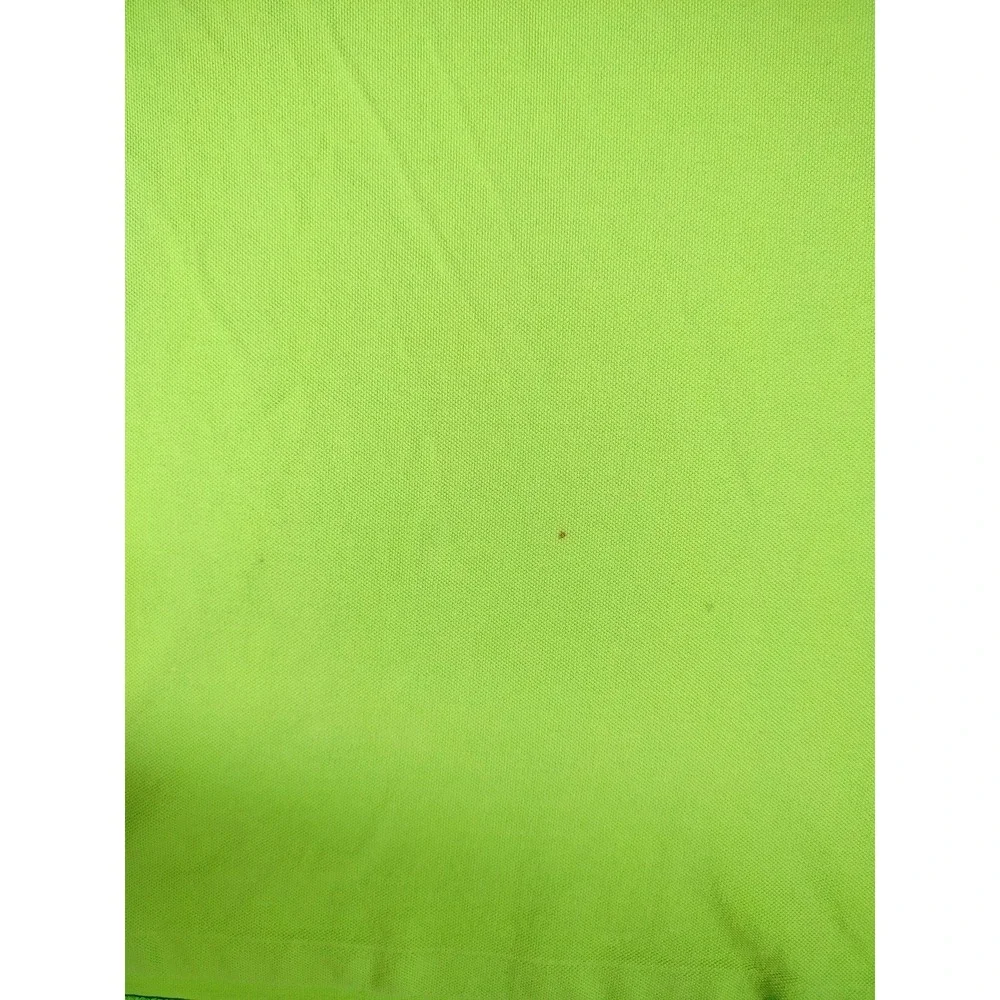 Polo Ralph Lauren brand polo